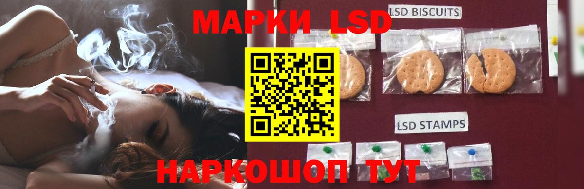Ставрополь  ЛСД экстази кислота  LSD-25 экстази  blacksprut маркетплейс  LSD-25 экстази ecstasy  Вход с VPN 